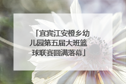 宜宾江安橙乡幼儿园第五届大班篮球联赛圆满落幕