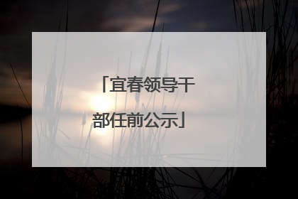 宜春领导干部任前公示