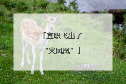 宜职飞出了“火凤凰”
