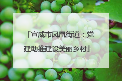 宣威市凤凰街道：党建助推建设美丽乡村