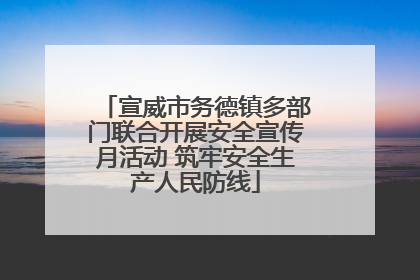 宣威市务德镇多部门联合开展安全宣传月活动 筑牢安全生产人民防线