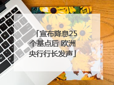 宣布降息25个基点后 欧洲央行行长发声