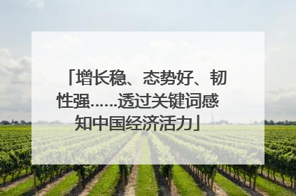 增长稳、态势好、韧性强……透过关键词感知中国经济活力