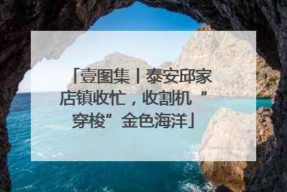 壹图集丨泰安邱家店镇收忙，收割机“穿梭”金色海洋
