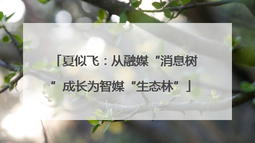 夏似飞：从融媒“消息树”成长为智媒“生态林”