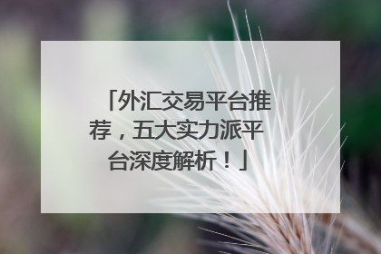 外汇交易平台推荐，五大实力派平台深度解析！