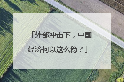 外部冲击下，中国经济何以这么稳？