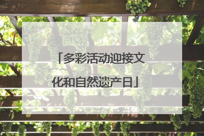 多彩活动迎接文化和自然遗产日