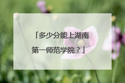 多少分能上湖南第一师范学院？