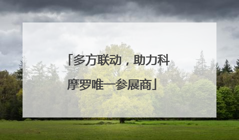 多方联动，助力科摩罗唯一参展商