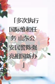 多次执行国际维和任务 山东公安民警陈强亮相国新办