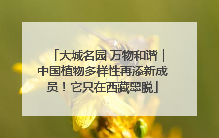 大城名园 万物和谐｜中国植物多样性再添新成员！它只在西藏墨脱