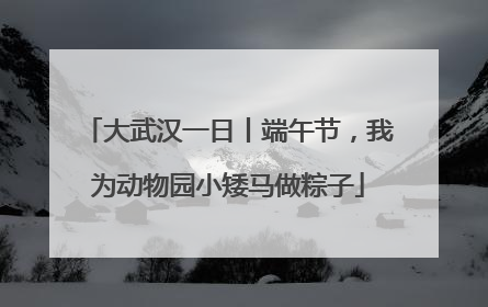 大武汉一日丨端午节，我为动物园小矮马做粽子
