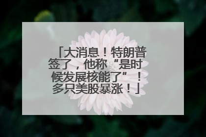 大消息！特朗普签了，他称“是时候发展核能了”！多只美股暴涨！