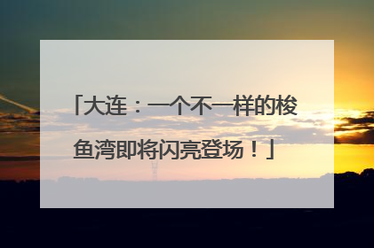 大连：一个不一样的梭鱼湾即将闪亮登场！