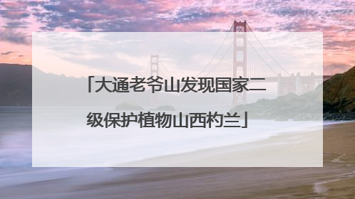 大通老爷山发现国家二级保护植物山西杓兰