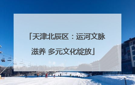 天津北辰区：运河文脉滋养 多元文化绽放