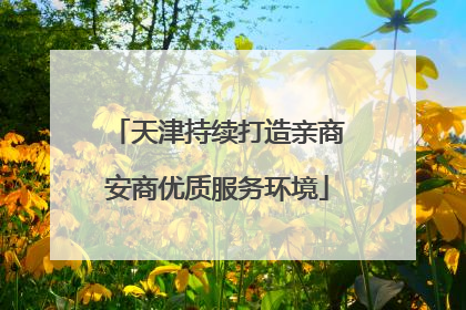 天津持续打造亲商安商优质服务环境