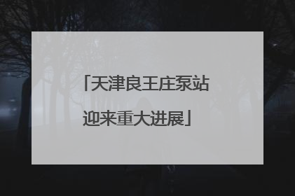 天津良王庄泵站迎来重大进展