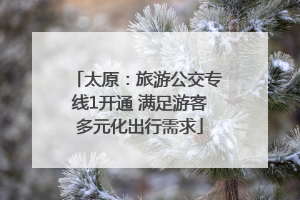 太原：旅游公交专线1开通 满足游客多元化出行需求