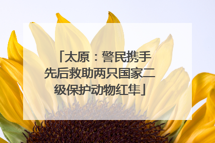 太原：警民携手 先后救助两只国家二级保护动物红隼