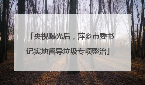 央视曝光后，萍乡市委书记实地督导垃圾专项整治