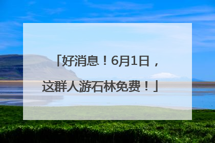 好消息！6月1日，这群人游石林免费！