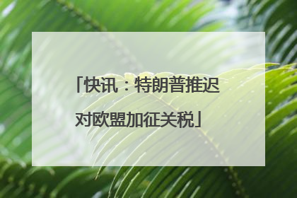 快讯：特朗普推迟对欧盟加征关税