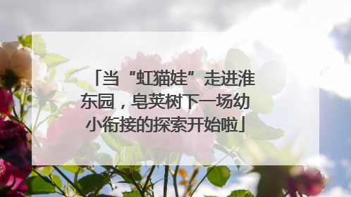 当“虹猫娃”走进淮东园，皂荚树下一场幼小衔接的探索开始啦