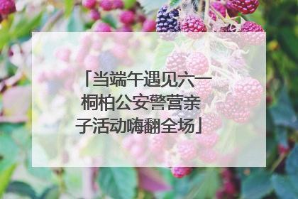 当端午遇见六一 桐柏公安警营亲子活动嗨翻全场