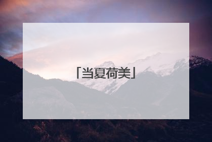 当夏荷美