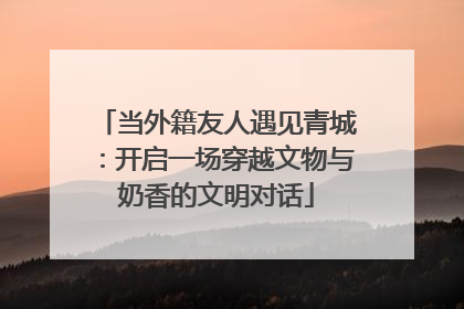 当外籍友人遇见青城：开启一场穿越文物与奶香的文明对话