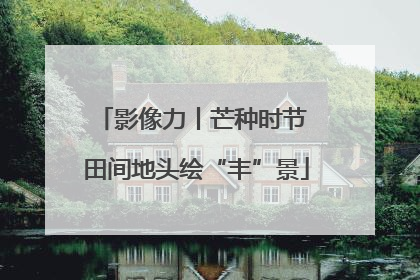 影像力丨芒种时节 田间地头绘“丰”景