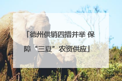 德州供销四措并举 保障“三夏”农资供应
