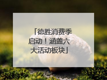德胜消费季启动！涵盖六大活动板块