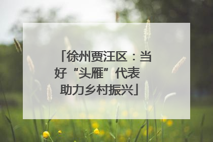 徐州贾汪区：当好“头雁”代表 助力乡村振兴