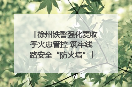 徐州铁警强化麦收季火患管控 筑牢线路安全“防火墙”
