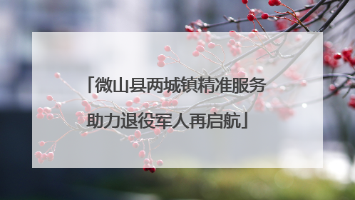 微山县两城镇精准服务助力退役军人再启航