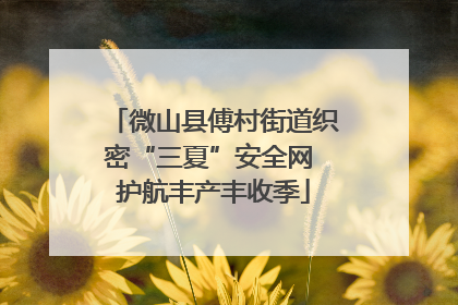 微山县傅村街道织密“三夏”安全网 护航丰产丰收季