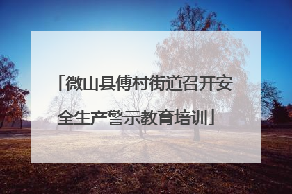 微山县傅村街道召开安全生产警示教育培训