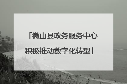 微山县政务服务中心积极推动数字化转型