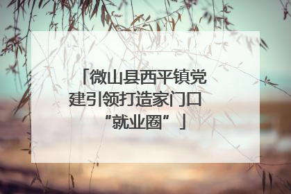 微山县西平镇党建引领打造家门口“就业圈”
