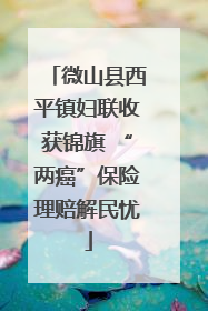 微山县西平镇妇联收获锦旗 “两癌”保险理赔解民忧