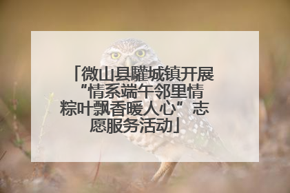 微山县驩城镇开展“情系端午邻里情 粽叶飘香暖人心”志愿服务活动