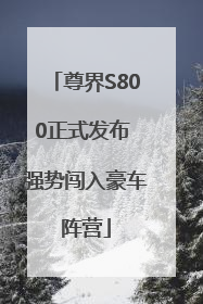 尊界S800正式发布 强势闯入豪车阵营