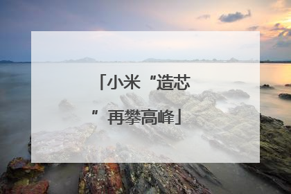 小米“造芯”再攀高峰