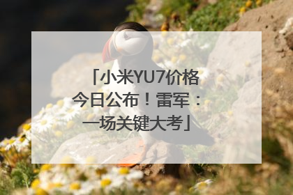 小米YU7价格今日公布！雷军：一场关键大考
