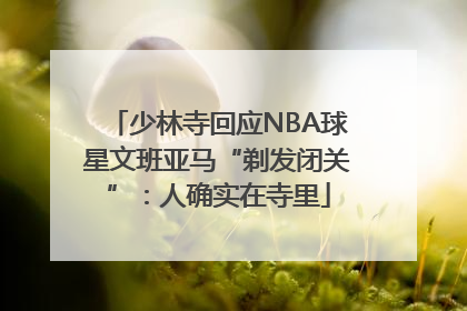 少林寺回应NBA球星文班亚马“剃发闭关”：人确实在寺里