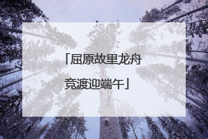 屈原故里龙舟竞渡迎端午