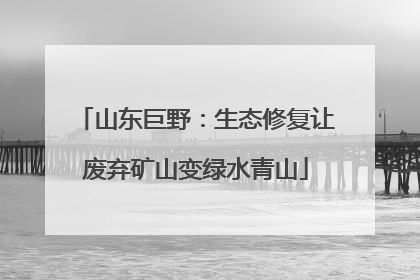 山东巨野：生态修复让废弃矿山变绿水青山